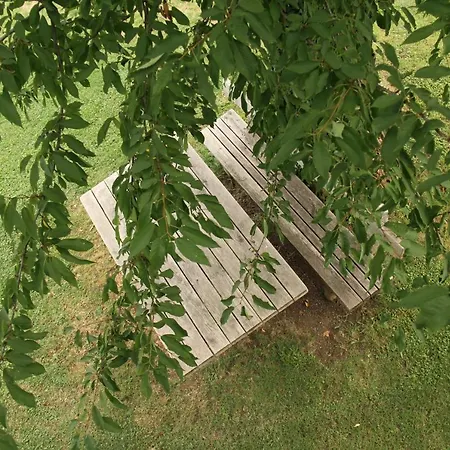 Pit Zdole Apartament