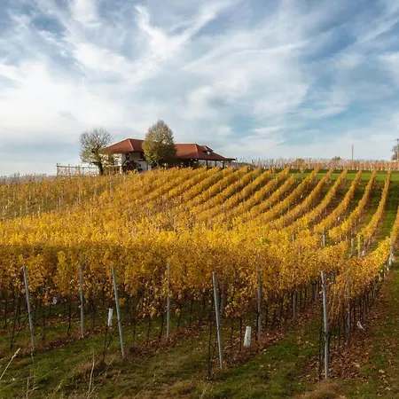 Pit Zdole Apartament *