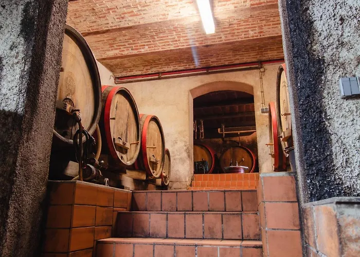 Daire Pit Zdole Kozje