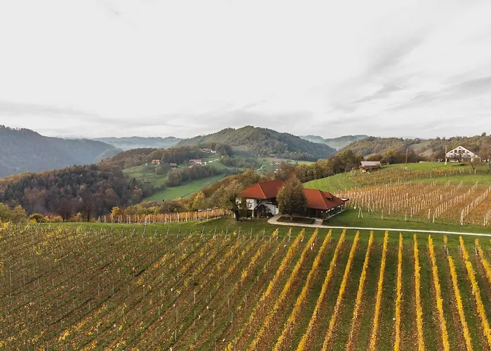 Pit Zdole Daire Kozje